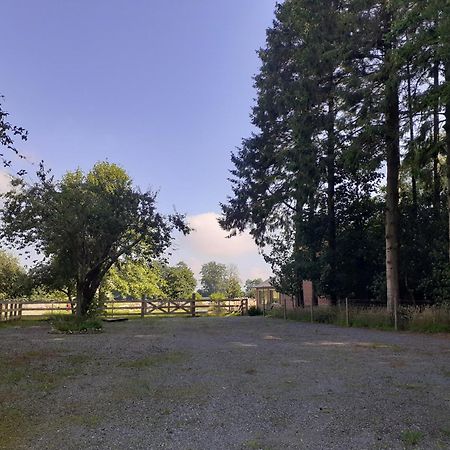 Les Gites Du Chateau De Maltot Saint-Ouen-du-Breuil Eksteriør billede