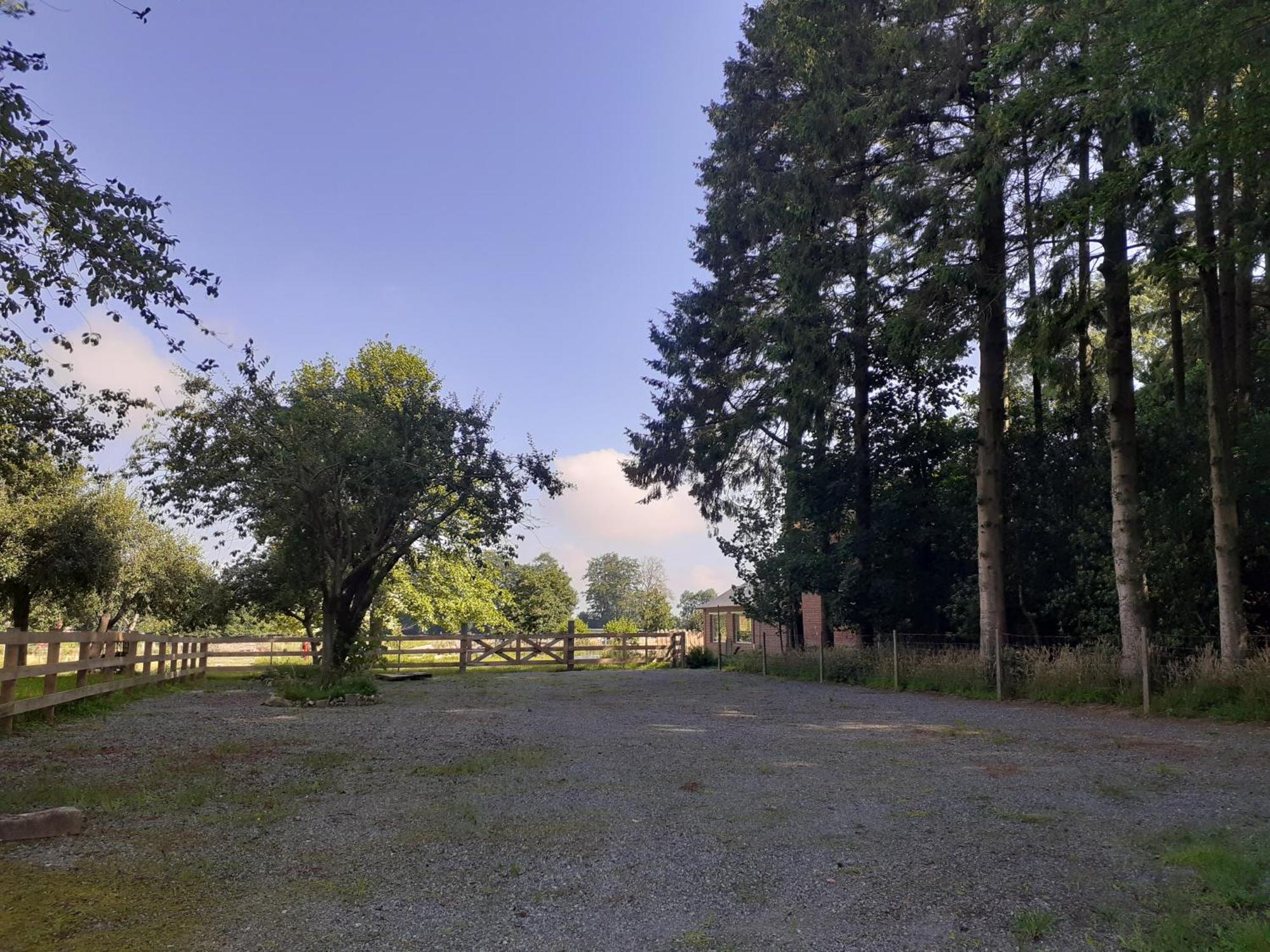 Les Gites Du Chateau De Maltot Saint-Ouen-du-Breuil Eksteriør billede